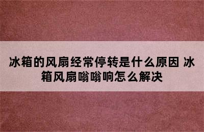 冰箱的风扇经常停转是什么原因 冰箱风扇嗡嗡响怎么解决